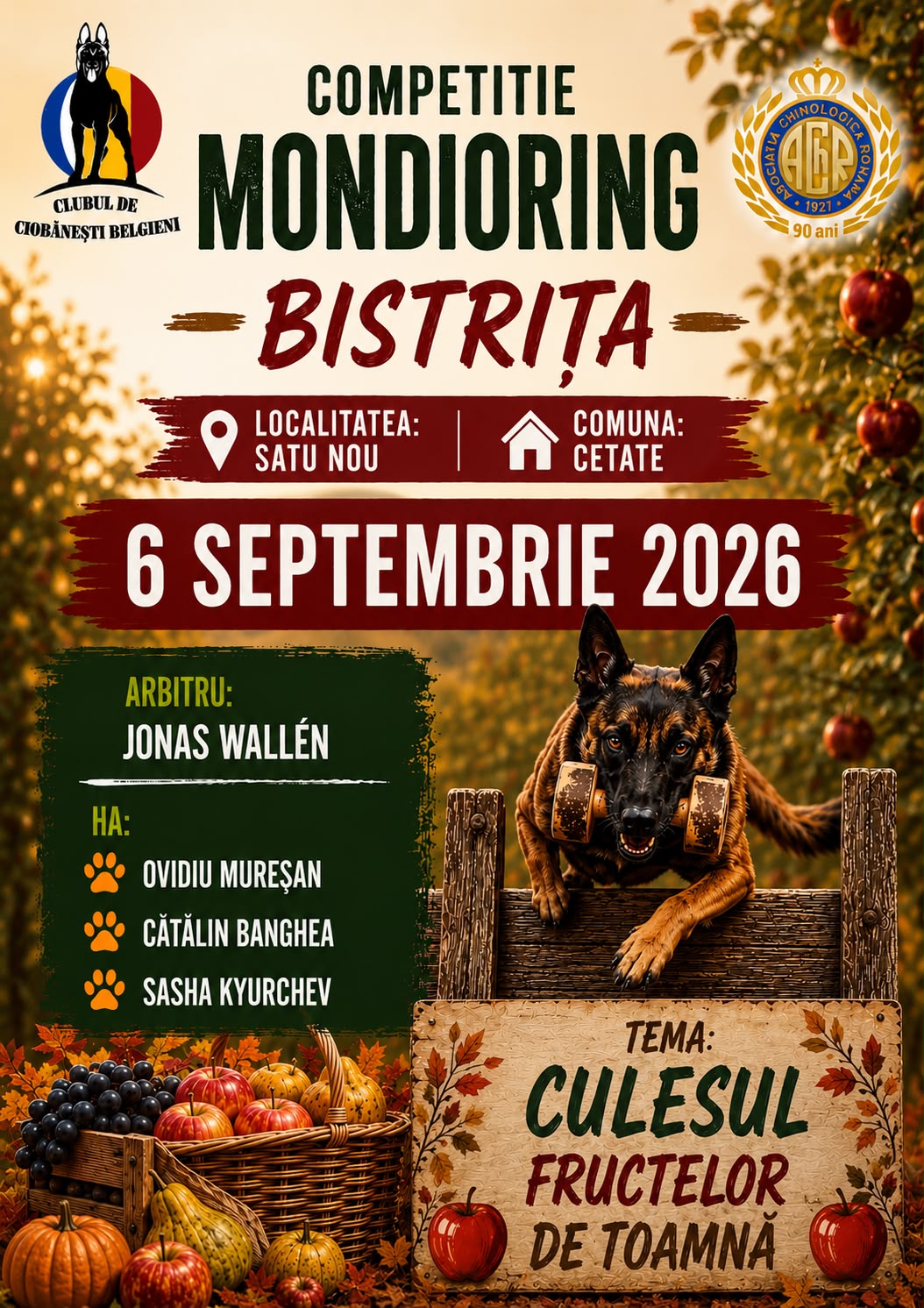 Competitie Mondioring Bistrita