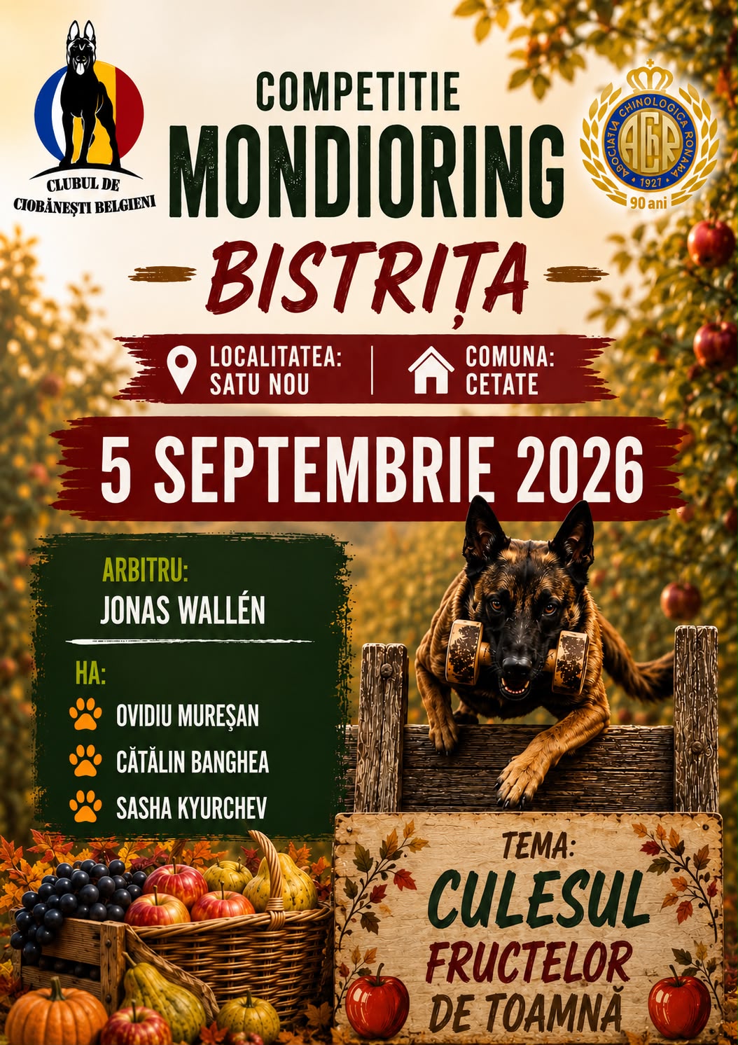 Competitie Mondioring Bistrita